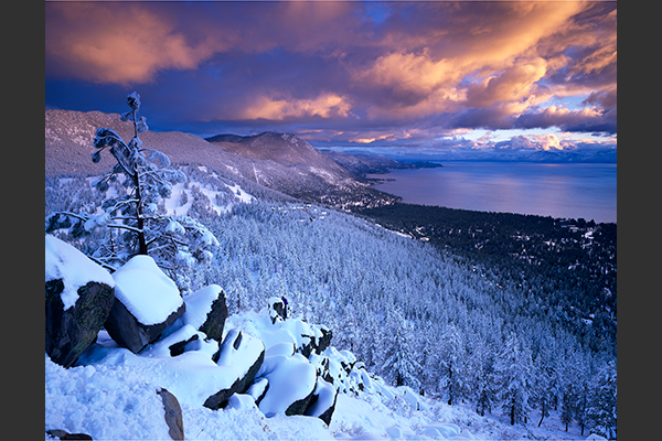 A mountain with pine trees covered in snow